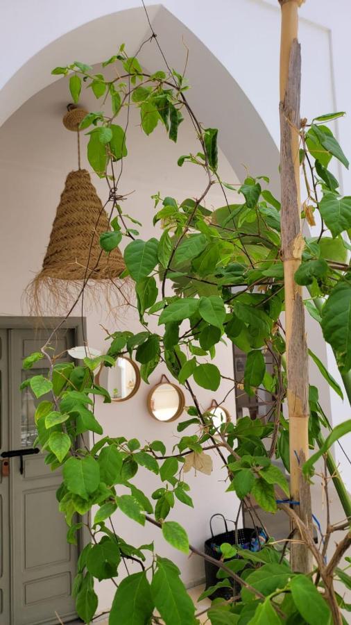 Riad Nohad Marrakech Marrakesh Bagian luar foto
